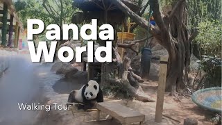 Panda Zoo Walk Through China