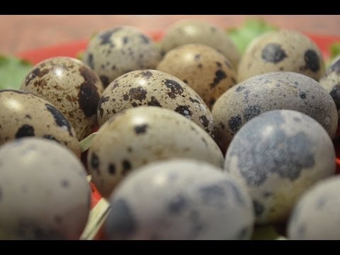 Fora pomocy w możności Odzyskiwanie siły po stosunku