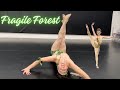 Dance Moms | Kalani Hilliker - Fragile Forest | Dance Cover