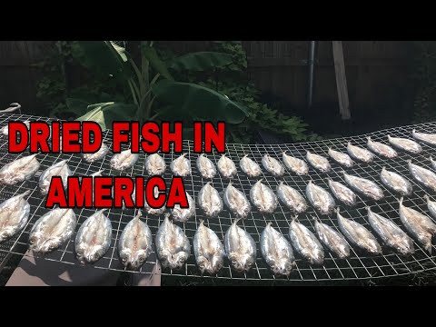 HOW TO MAKE DRIED FISH AT HOME