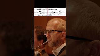 Download lagu Tchaikovsky: Symphony No. 5 🎶 Horn Solo  #classicalmusic #frenchhorn #orchestra #tchaikovsky mp3