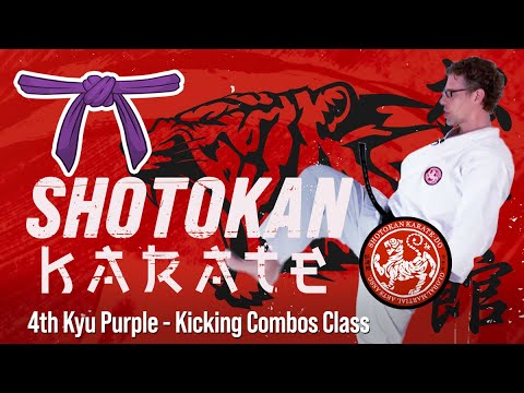 Shotokan - 4th Kyu - Purple Belt - Kicking Combinations Class thumbnail