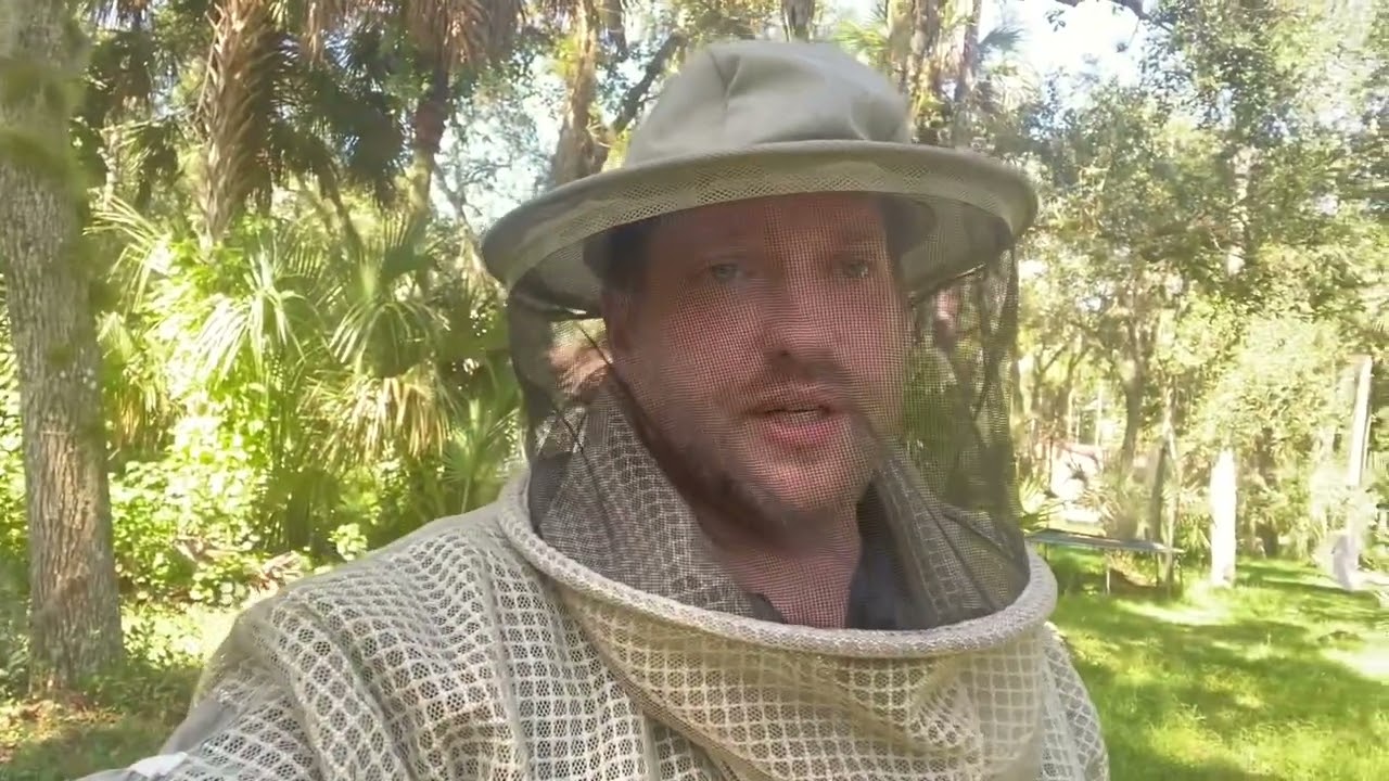 How to prevent a swarm after you find queen cells, and still have a queen. Will it work?