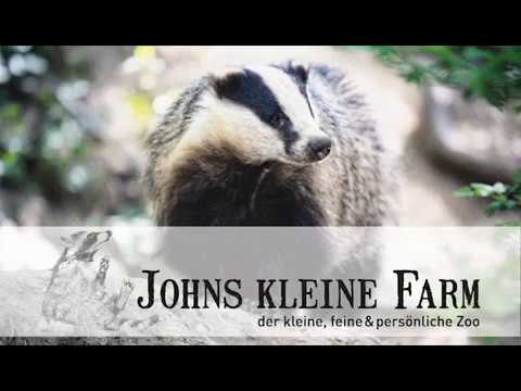 Rettet John's kleine Farm — Crowdfunding bei wemakeit