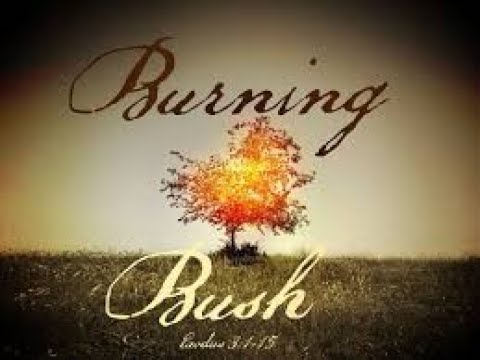 Homily   Burning Bush