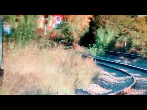 DA 60-1400-5 cu trenul IR 366-1 "HARGHITA" Brașov - Budapesta în triajul Oradea Est [HD]