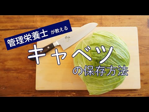 白キャベツの保存: キャベツはどのようにして長持ちしますか? 植物
