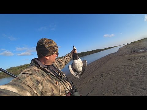 Охота на гуся. Осень 2019. \ Goose hunting