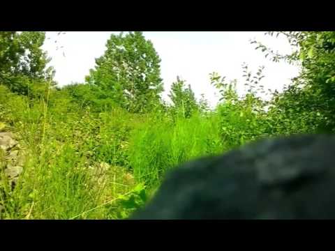 #43- Tren pe linia 413/04.06.2017