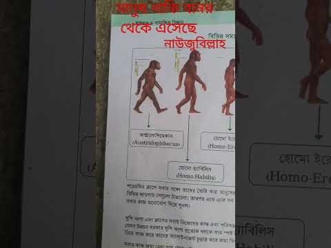 ষষ্ঠ শ্রেনির ইতিহাস ও সামাজিক বিজ্ঞান বই তে এগুলো কি,,#shorts #youtubeshorts #foryou #islam