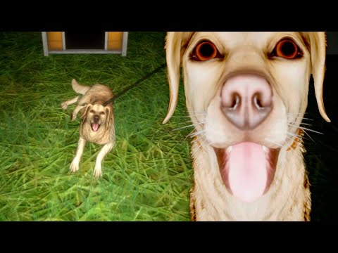 ХОРРОР ПРО ПСА ► THE PADDY FIELD たんぼ ПРОХОЖДЕНИЕ ИГРЫ ВСЕ КОНЦОВКИ