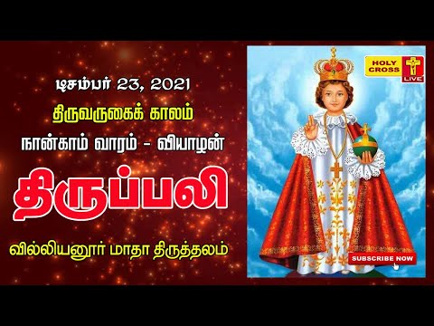 23-12-2021 Tamil Mass | Villianur Lourdes Shrine | Holy Cross Tv | Daily Tv Mass | Today Holy Mass