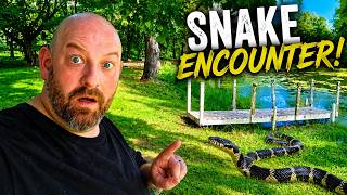 I CUT DOWN THE TREE BY THE FISHING DOCK daily vlog 141