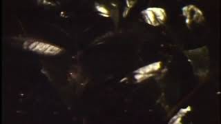 Jasper McAdams - Namaste OK (music video)