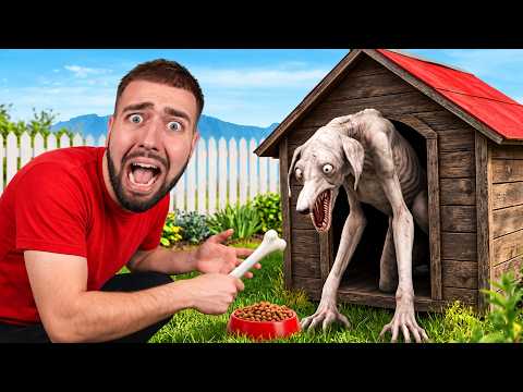 NE DONNE JAMAIS À MANGER À CE CHIEN…