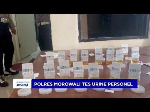POLRES MOROWALI TES URINE PERSONEL KOMITMEN ANTI NARKOBA
