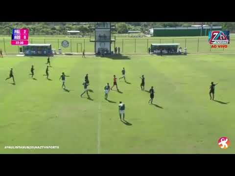 Palmeiras na tela da ZtvSports