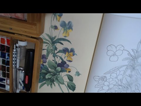 The Beauties of Nature Colouring Book in W&N water Colours