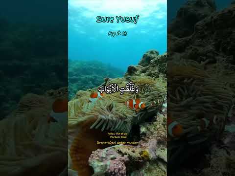 Quran recitation Qari Muslim Antar#youtubeshorts #shorts