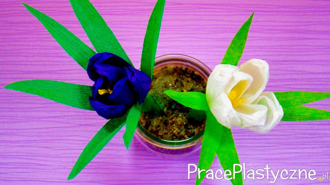 Jak zrobić krokusy z bibuły?