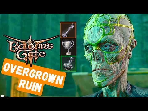 Baldur's Gate 3 - Overgrown Ruins Secret Walkthrough!