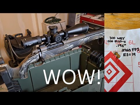 Best Weatherby rifle? 