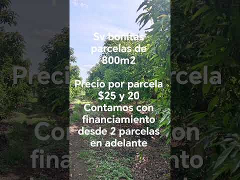 comunicación al 70267228 hubicadas en el departamento de ahuchapan municipio atiquizaya