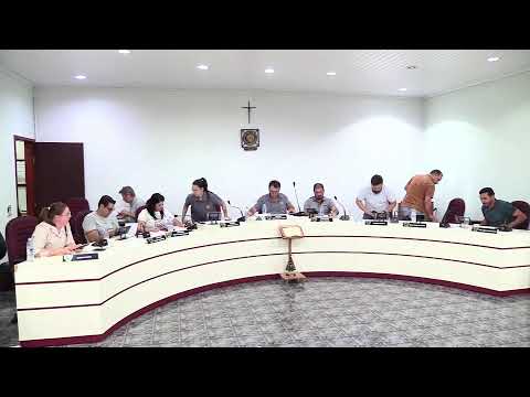 39ª Sessão Ordinária 2025