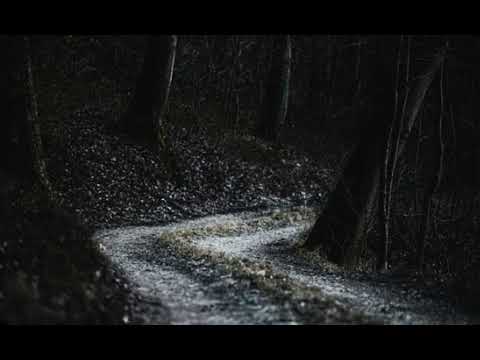 NBSPLV- the lost soul down (reverb + Slowed)