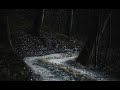NBSPLV The Lost Soul Down Reverb Slowed