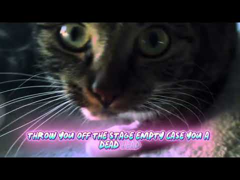 Cheater - Fake Boujee - Official Music Video 