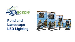 POND AND LANDSCAPE LIGHTING FROM AQUASCAPE