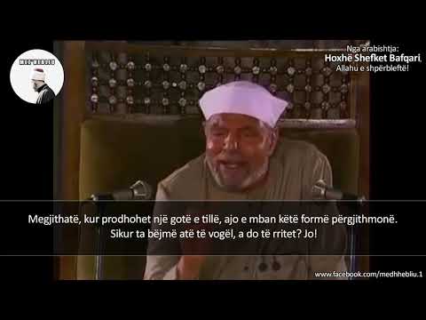 Shejh Muhammed Mutevelij Esh-Sha'ravij - "I Lartësuar është Allahu"