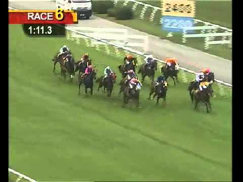 25 August 2012 Race 6