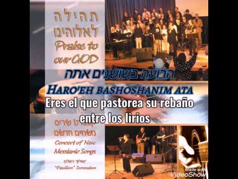 Haro'eh Bashoshanim (El que pastorea entre los lirios) - Messianic Jewish Alliance of Israel