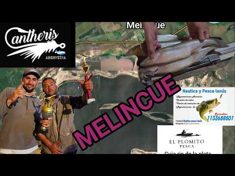 Melincue 120 caraceños en la gloriosa de santa fe