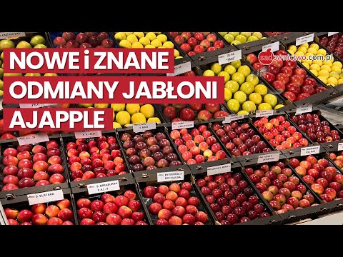 AJAPPLE - nowe i znane odmian jabłoni