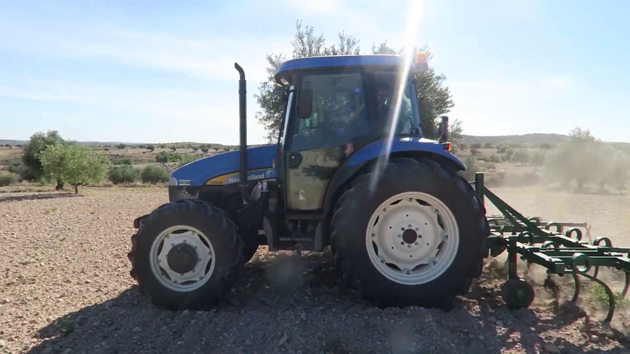 Cómo Arar la Tierra. Una mañana Arando el Campo