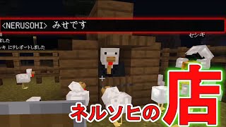 ネルソヒのお店が完成しました！