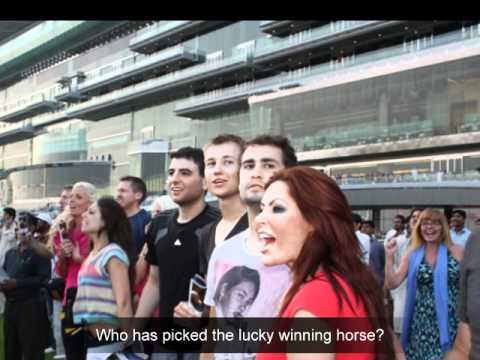 AMAZING RACE AT MEYDAN