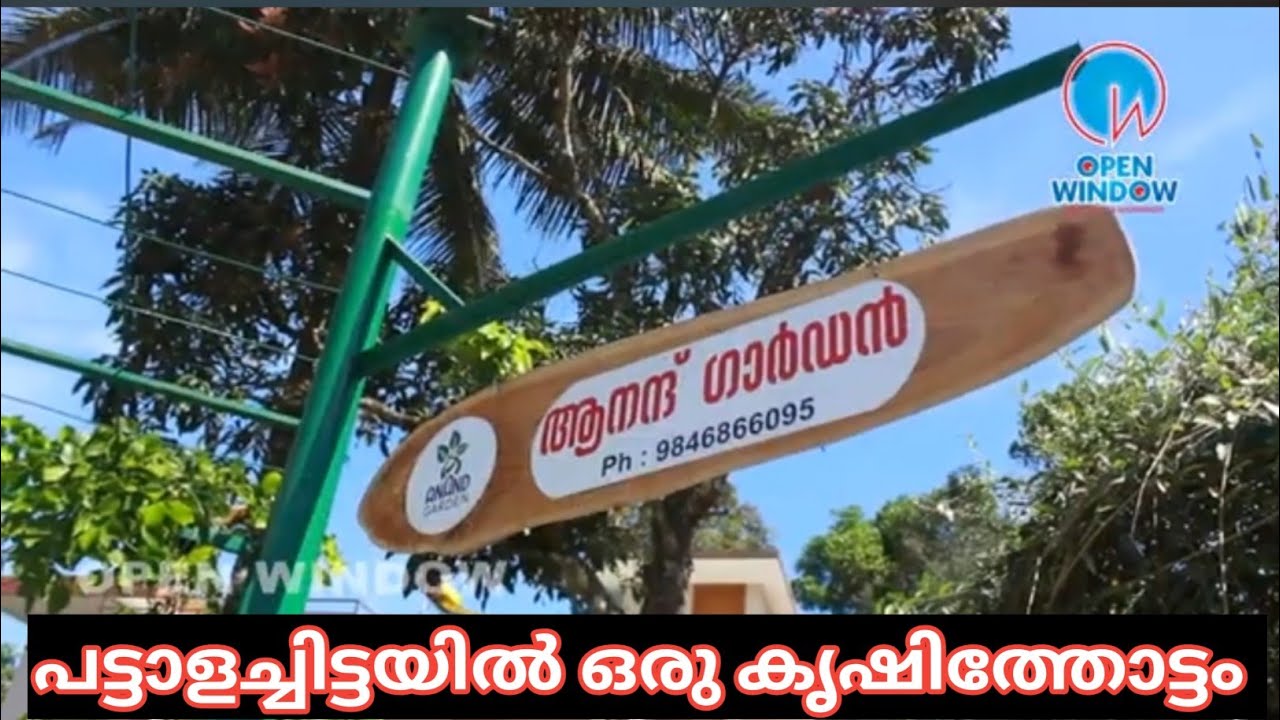 പട്ടാള ചിട്ടയിൽ കൃഷി /കട്ടപ്പന സ്വദേശി മധുവിന്റെ വേറിട്ട കൃഷി പരിപാലനം/ നൂറുകണക്കിന് വിദേശത്തൈകൾ