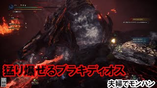 夫婦でゲーム_モンスターハンターワールド/アイスボーン＃14
