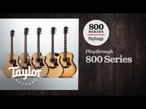 Taylor Guitars Showdown: 800 series (All Steel-string Models) | Playthrough Demo