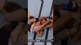 Download lagu was this the craziest submission in mma history?#zabit#ufc#bjj#sambo#mma#submission mp3 Download lagu was this the craziest submission in mma history?#zabit#ufc#bjj#sambo#mma#submission mp3