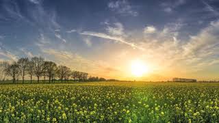 Låt solen värma dig (Ted Gärdestad) Piano Cover | Loise