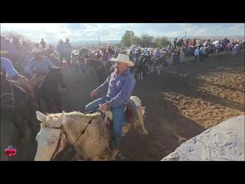 Coledera in La Noria, Durango (01/01/26)
