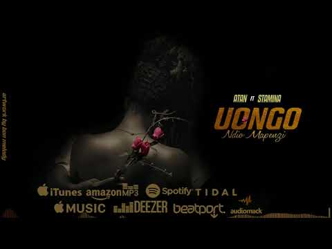 Atan Ft Stamina - Uongo Ndio Mapenzi (Official Music Audio)