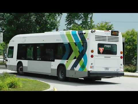 Ride on brand new 71101