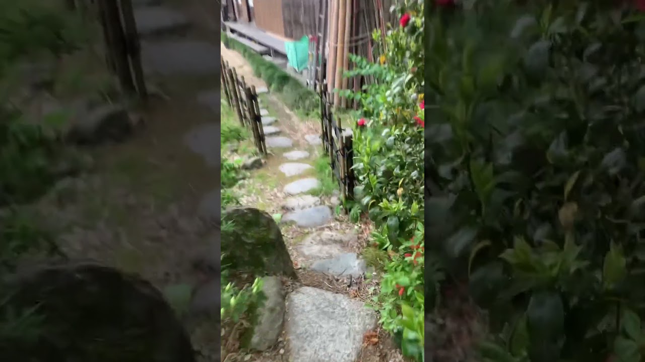 YouTube Short thumbnail