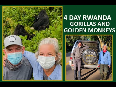 Rwanda Gorilla Trekking |4 Day Gorilla Trekking Rwanda and kigali city tour #vlogs #shots #wildlife